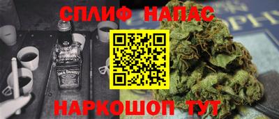 шишки Гусиноозёрск
