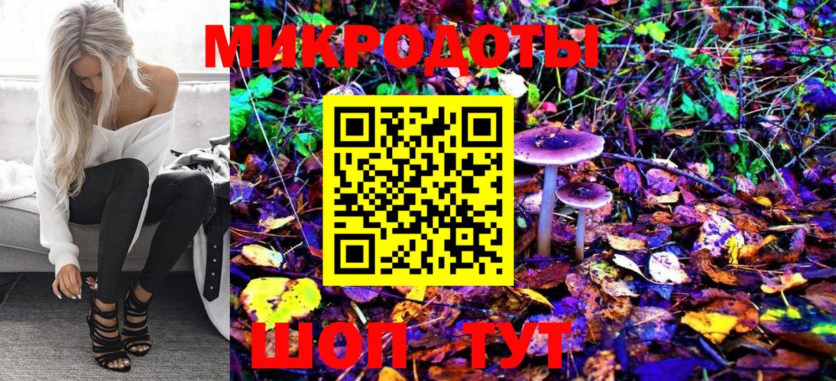 Гусев  Галлюциногенные грибы Psilocybine cubensis  Вход с VPN 